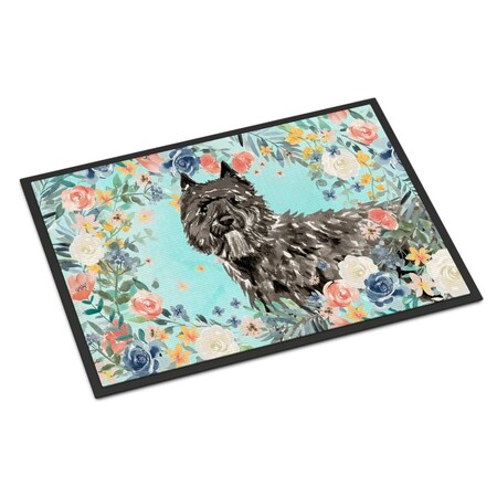 Carolines Treasures 18 x 27 in. Bouvier Des Flandres Indoor or Outdoor Mat CK3432MAT